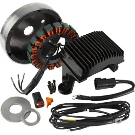 Ce-61ar Cycle Electric Inc 3-phase 38a Charging Kit