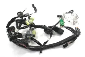 26031-3895 Kawasaki 2023 Kx250 Main Wire Harness Oem 26031-3895 Kawasaki 2023 Kx250 Main Wire Harness Oem