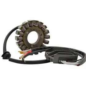 14-99-200h Ricks Motorsport Electric Lithium-ion Charging Kit - Kaw