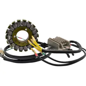 14-99-201h Ricks Motorsport Electric Lithium-ion Charging Kit - Kaw