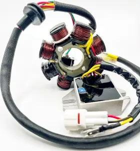 14-99-900h Ricks Motorsport Electric Hot Shot Lithium Compatible Charging Kit