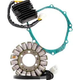 99-307 Ricks Motorsport Electric Easy Kit Complete Charging