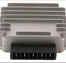 230-42036 Wild Boar Regulator - 251422