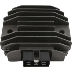 230-58058 Wild Boar Wildboar Regulator