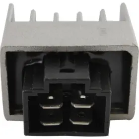 230-58081 Wild Boar Regulator -