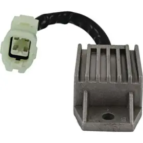 230-58156 Wild Boar Wildboar Regulator