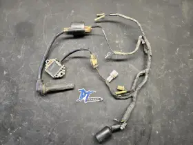 5ng-82509-00-00 Yamaha 2001 Wr426f Wire Harness Ignition Coil Voltage Regulator Wr 426 F 5ng-82509-00-00 Yamaha 2001 Wr426f Wire Harness Ignition Coil Voltage Regulator Wr 426 F