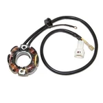 Electrosport Industries Lighting Stator ESL237. Fixed Price $135.11.