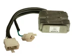 Arrowhead AYA6006 Wild Boar Voltage Regulator. Fixed Price $60.92.