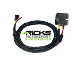 Ricks Series Rectifier-regulator For Polaris Rzr 900 2015-2020. Fixed Price $224.95.