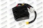 Ricks Series Rectifier-regulator 10-009H. Fixed Price $189.95.