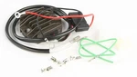 Ricks Electric Regulator / Rectifier 10-135H. Fixed Price $124.95.