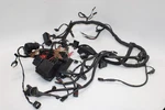 2010 Bmw S1000RR Oem Main Engine Wiring Harness Motor Wire Loom. Fixed Price $111.30.