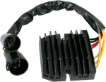 Rick's Motorsport Electric Ricks 10-312H Shot Rectifier. Fixed Price $199.95.