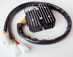 Ricks Electric Regulator / Rectifier For Lithium Battery 14-118. Fixed Price $159.95.