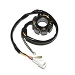 Electrosport Industries Lighting Stator - ESL237. Fixed Price $135.11.