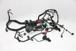 2016 Bmw S1000XR Oem Main Engine Wiring Harness Motor Wire Loom. Fixed Price $300.30.