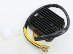 Ricks Regulator / Rectifier 10-215. Fixed Price $129.95.