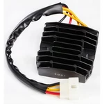 Ricks Regulator/rectifier 10-004H. Fixed Price $179.95.