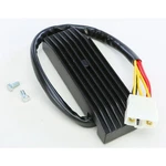 Ricks Regulator/rectifier 10-210. Fixed Price $154.95.