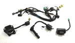 2018 Kawasaki KX450F Wire Harness With Ignition Coil Oem 26031-2096. Fixed Price $179.96.