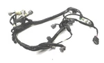 2023 Kawasaki KX250 Oem Wire Harness 26031-3895. Fixed Price $132.95.
