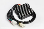 Ricks Regulator / Rectifier Part 10-008 For Reliable Power Management. Fixed Price $124.95.