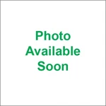 Wild Boar Regulator 230-42036 251422. Fixed Price $62.97.